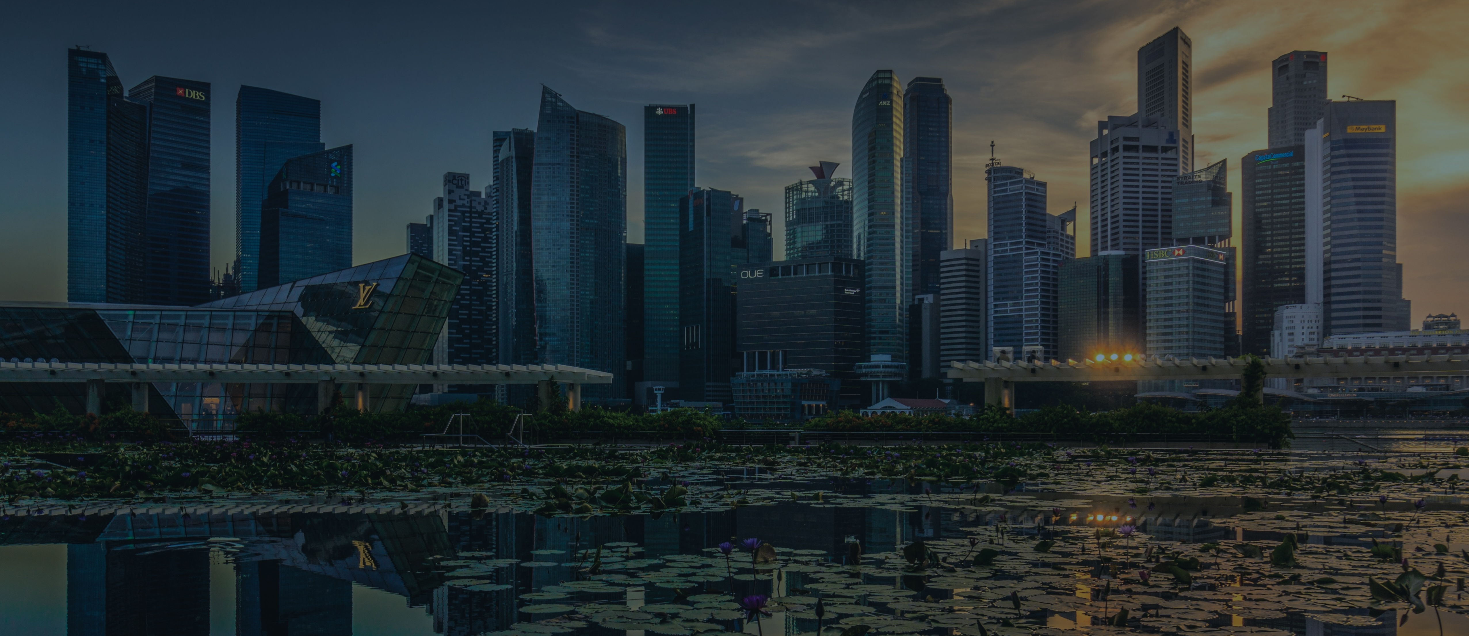 Singapore Skyline